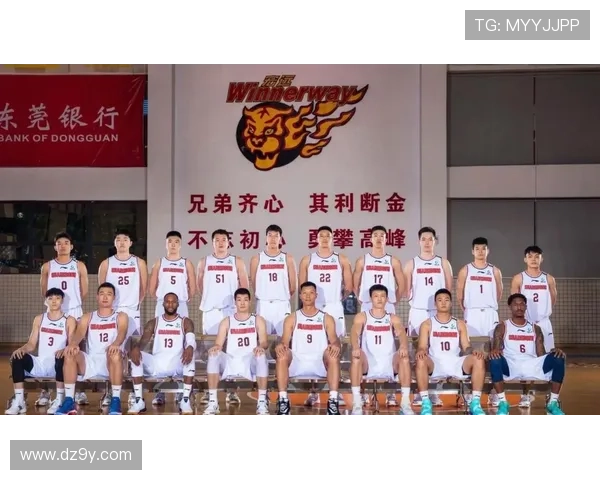 中国篮球联赛迎来新赛季 多支球队引援强势提升实力争夺总冠军