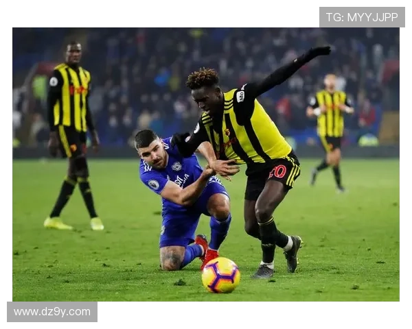 沃特福德足球俱乐部历史回顾与未来发展展望